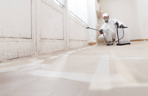24/7 Emergency Mold Remediation experts in Suitland, MD